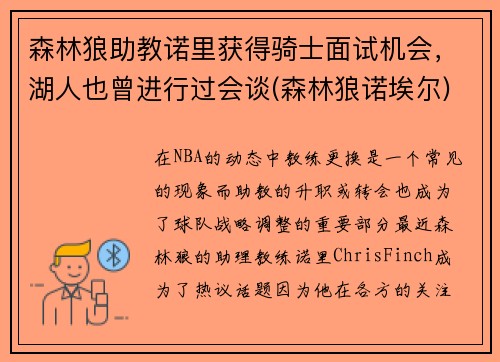 森林狼助教诺里获得骑士面试机会，湖人也曾进行过会谈(森林狼诺埃尔)